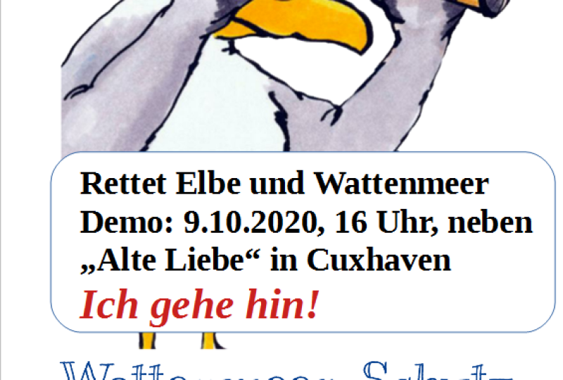 Bildrechte: Tanja Schlampp, Wattenmeer-Schutz Cuxhaven