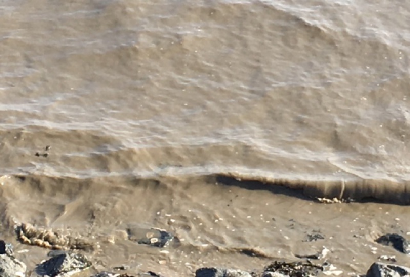 Bildrechte: Tanja Schlampp